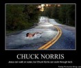 /album/fotogaleria/funny-chuck-norris-jpg/